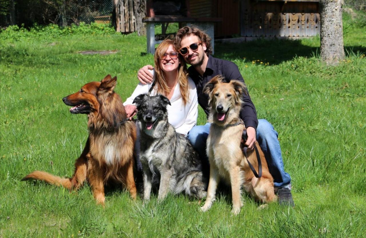 Villa Lisabetta Montecchio  Dış mekan fotoğraf